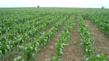 agrinews agrotv