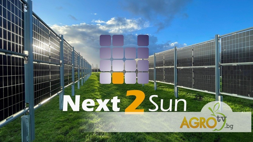 Агроволтаици – двойна доходност от земята и устойчиво бъдеще за земеделието