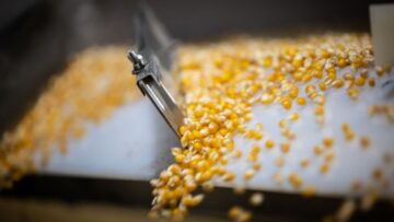 seeds-on-gravity-table-1