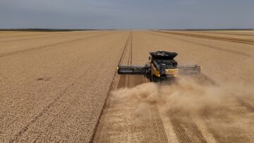 agroforum zarno zhatva