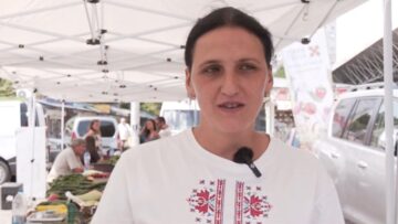 ferma-galabinci