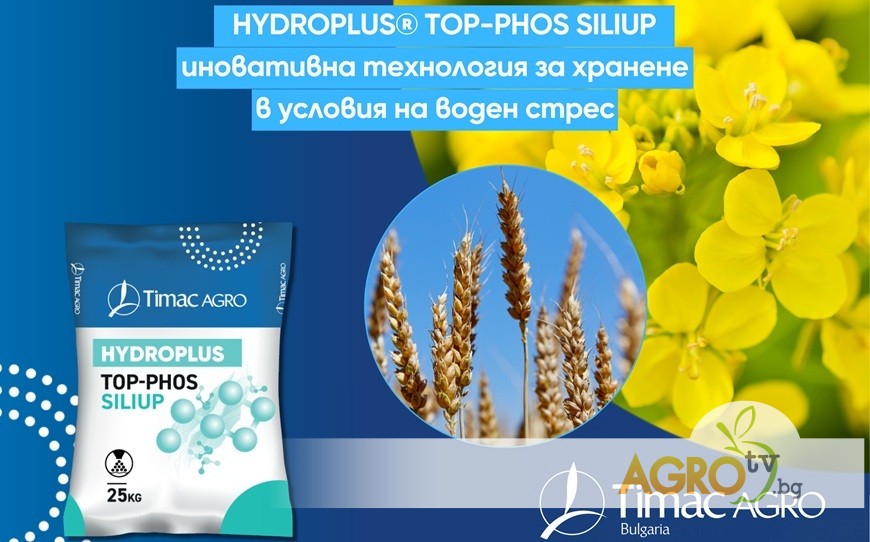 HYDROPLUS® TOP-PHOS SILIUP осигурява иновативна защита на фосфора и ефективно хранене на есенниците