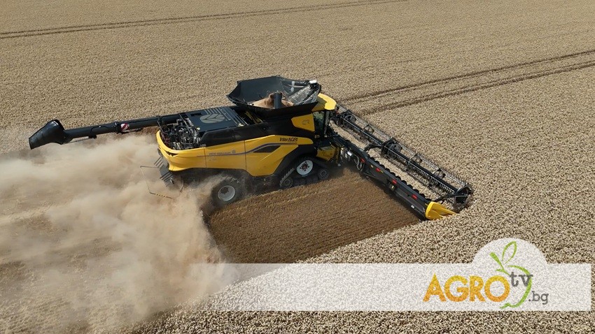New Holland CR11: Революция в жътвата – първа демонстрация край Бяла Слатина с домакин Пламен Пенчев
