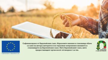 Smart farming Agricultural technology and organic agriculture Woman using the research tablet and studying the development of rice varieties in rice field