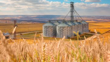 Agricultural Silos for storage and drying of grains, wheat, corn, soy, sunflower – Beautiful landscape of sunset over wheat field at summer