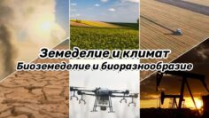 Zemedelie i klimatBiozemedelie i bioraznoobrazie