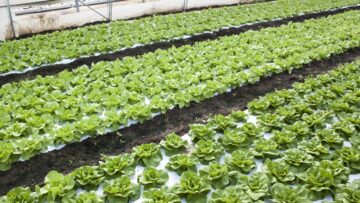 agrinews agri