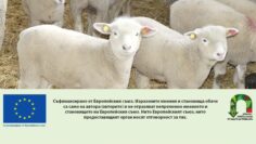 agrotv agrinews