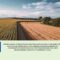 agrotvdfz