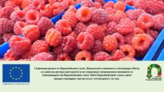 bioproizvoditel malini agrotv