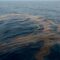 Бизнес Форум: Бизнес в Черно море – инвестиция с печалба или заплаха за природата?
