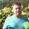 СЛЪНЧОГЛЕД: Какъв е фитосанитарният фон на полето в Добричко?
