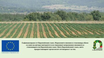 zastrahovki produktsia agrotv