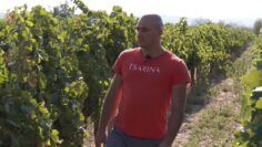 Daniel Rusev vinoproizvoditel