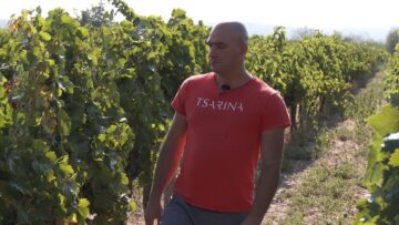 Daniel Rusev vinoproizvoditel