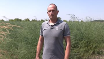 Georgi Binkov zemedelski proizvoditel asperzhi agrotv