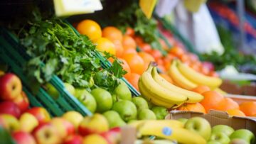 Fresh healthy bio fruits and vegetables on Bremen farmer agricultural market
