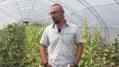Stefan Kavardzhiev zemedelski proizvoditel
