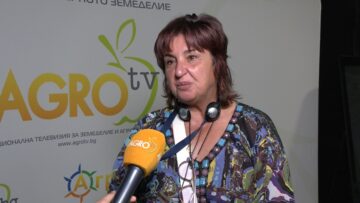 Tinka Gugleva menidzhar v svinekompleks