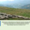 biojivotnovadstvo-intervenciiAgroTV