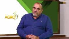 bioproizvoditeli