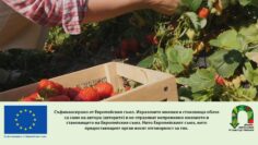 chista-hrana-AgroTV