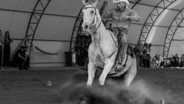 horseofbulgaria