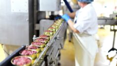 Produktion von Fertigessen-Dosenfleisch in einer industriellen F