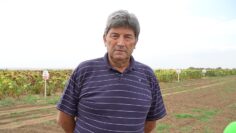 neno-nenov