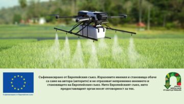 Drone spraying pesticide on wheat field.