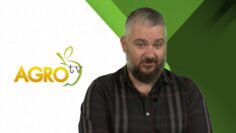 Aleksandar Aleksiev ovtsevad Balgarski fermerski kooperativ chlen na NOKA