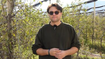 Mark Tsekov bioproizvoditel