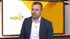 Petar Dimitrov konsultant zarneni pazari