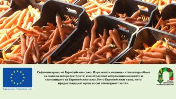 Satrudnichestvo za kasi verigi na dostavka12