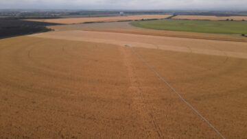 biznes i inovacii carevica