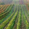 countryside-9352596_1280