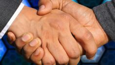 handshake-3655926_1280