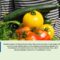 intervencii-seu-AgroTV