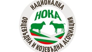 noka