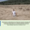 notill_AgroTV