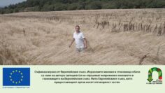 notill_AgroTV
