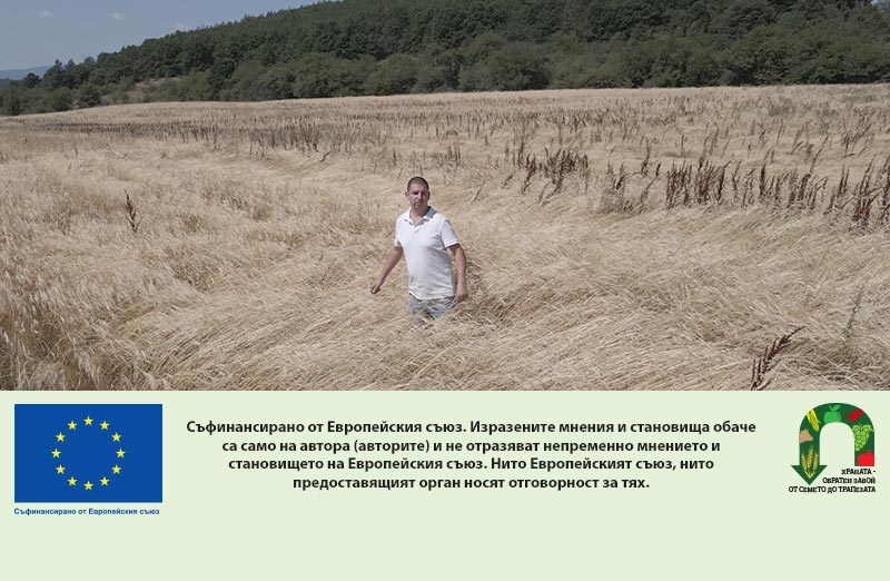 No-Till земеделие: как млад фермер възстановява почвата и пести ресурси