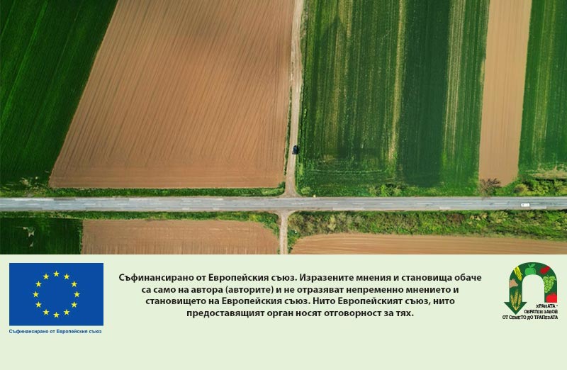 ЕП е готов да започне преговори за опростяване на законодателството на ЕС в областта на земеделието