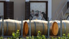 VINOPROIZVODSTVO