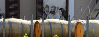 VINOPROIZVODSTVO
