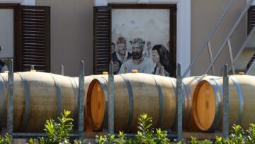 VINOPROIZVODSTVO