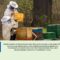 biopchelari_AgroTV