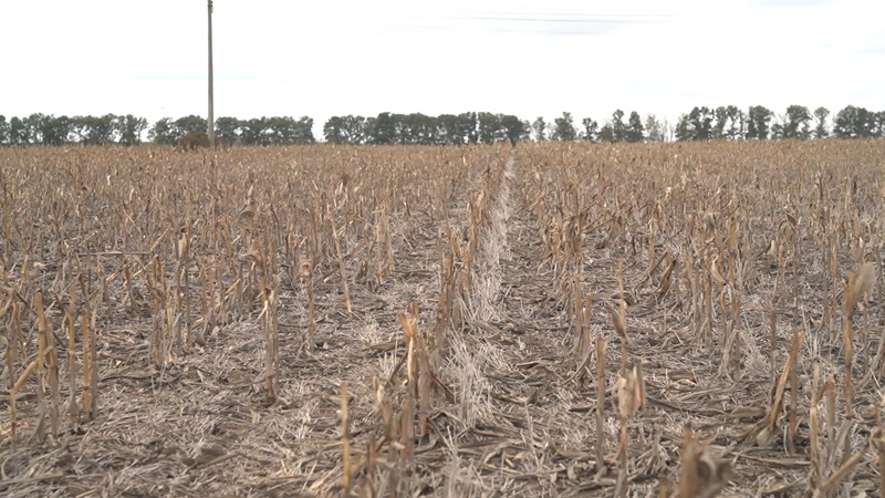 Preload Image