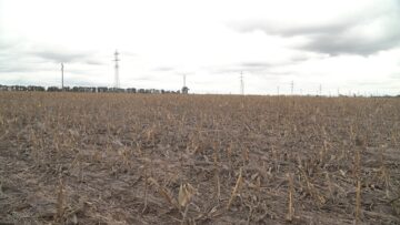 pochvi agri