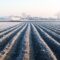 Winter farm field ready for new planting season. Preparatory agricultural work for spring. Agriculture and agribusiness. Choosing right time for sow fields plant seeds, protection from spring frosts.